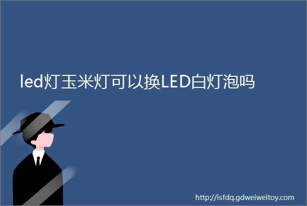 led灯玉米灯可以换LED白灯泡吗